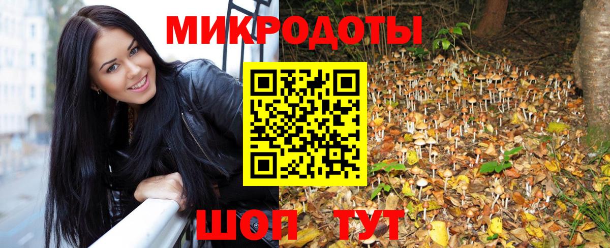Кызыл  Псилоцибиновые грибы прущие грибы  Вход с VPN  Псилоцибиновые грибы мицелий 